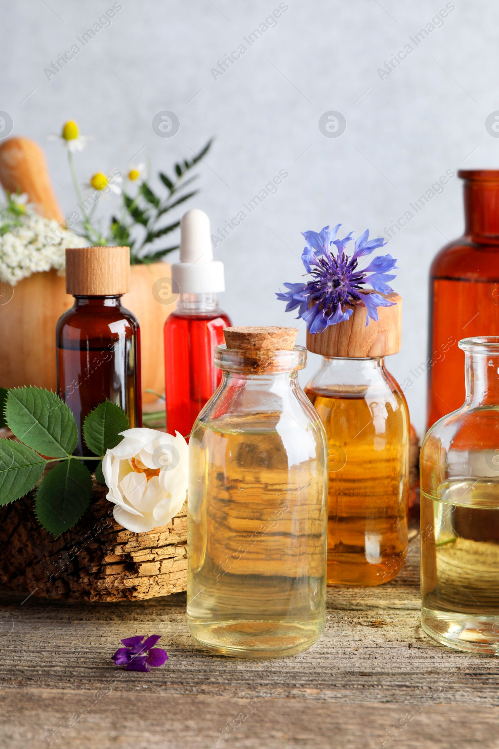 Photo of Aromatherapy. Different essential oils, flowers and green leaves on wooden table