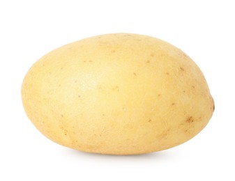 Photo of One young fresh potato isolated on white