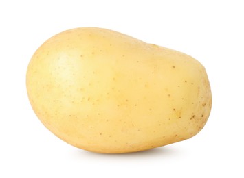 Photo of One young fresh potato isolated on white