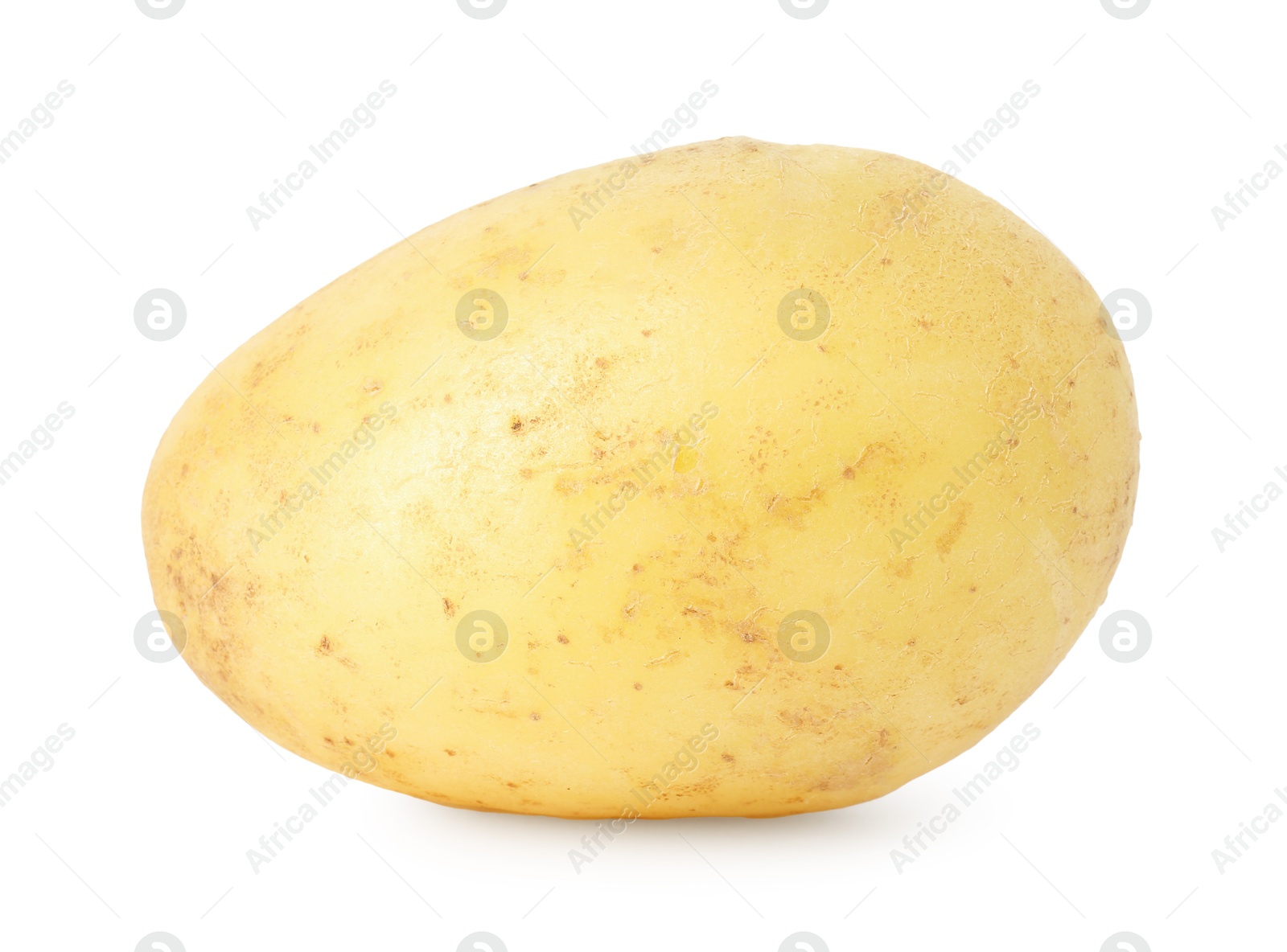 Photo of One young fresh potato isolated on white