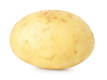 Photo of One young fresh potato isolated on white