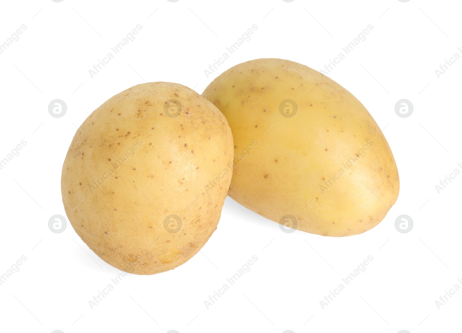 Photo of Two young fresh potatoes isolated on white