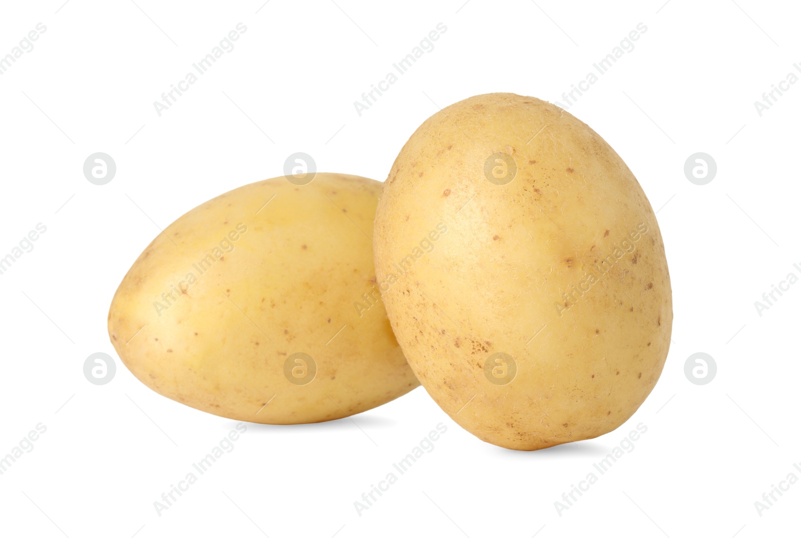 Photo of Two young fresh potatoes isolated on white