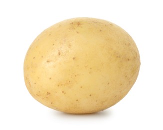 Photo of One fresh young potato isolated on white