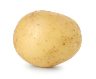 Photo of One fresh young potato isolated on white