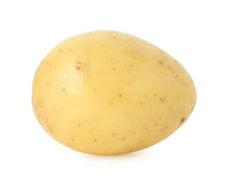 Photo of One fresh young potato isolated on white