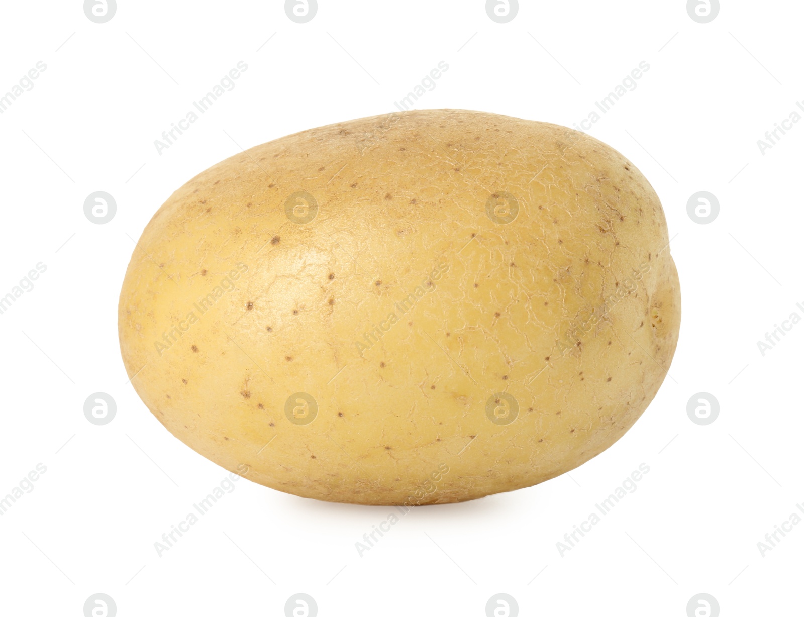 Photo of One fresh young potato isolated on white