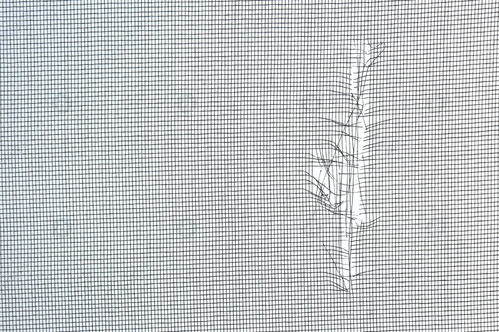 Photo of Torn window screen against white background, closeup