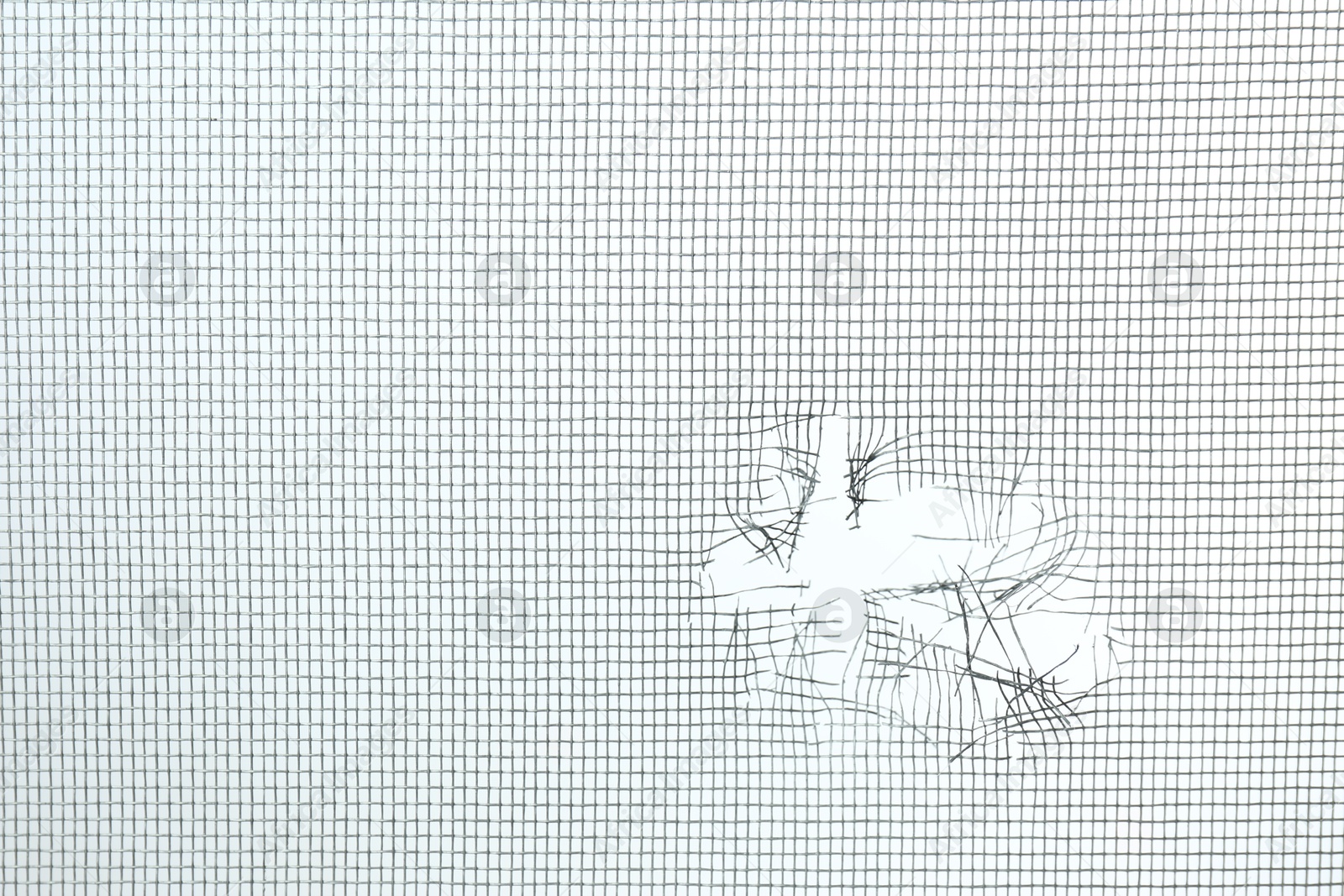 Photo of Torn window screen against white background, closeup