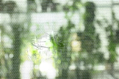 Photo of Torn window screen against blurred background, closeup
