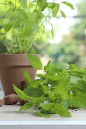 Potted herbs and clay pebbles on windowsill indoors