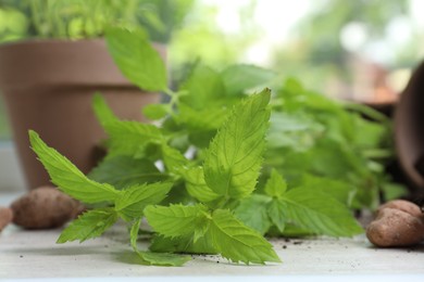 Photo of Fresh mint and clay pebbles on white table, closeup