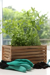 Photo of Transplanting plant. Different herbs growing in wooden crate and gardening tools on white table indoors