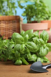 Photo of Transplanting herb. Fresh basil and shovel on wooden table