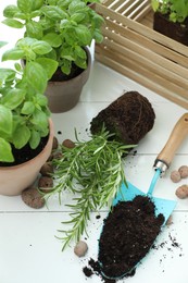 Transplanting plant. Potted herbs, clay pebbles and gardening tools with soil on white wooden table, flat lay