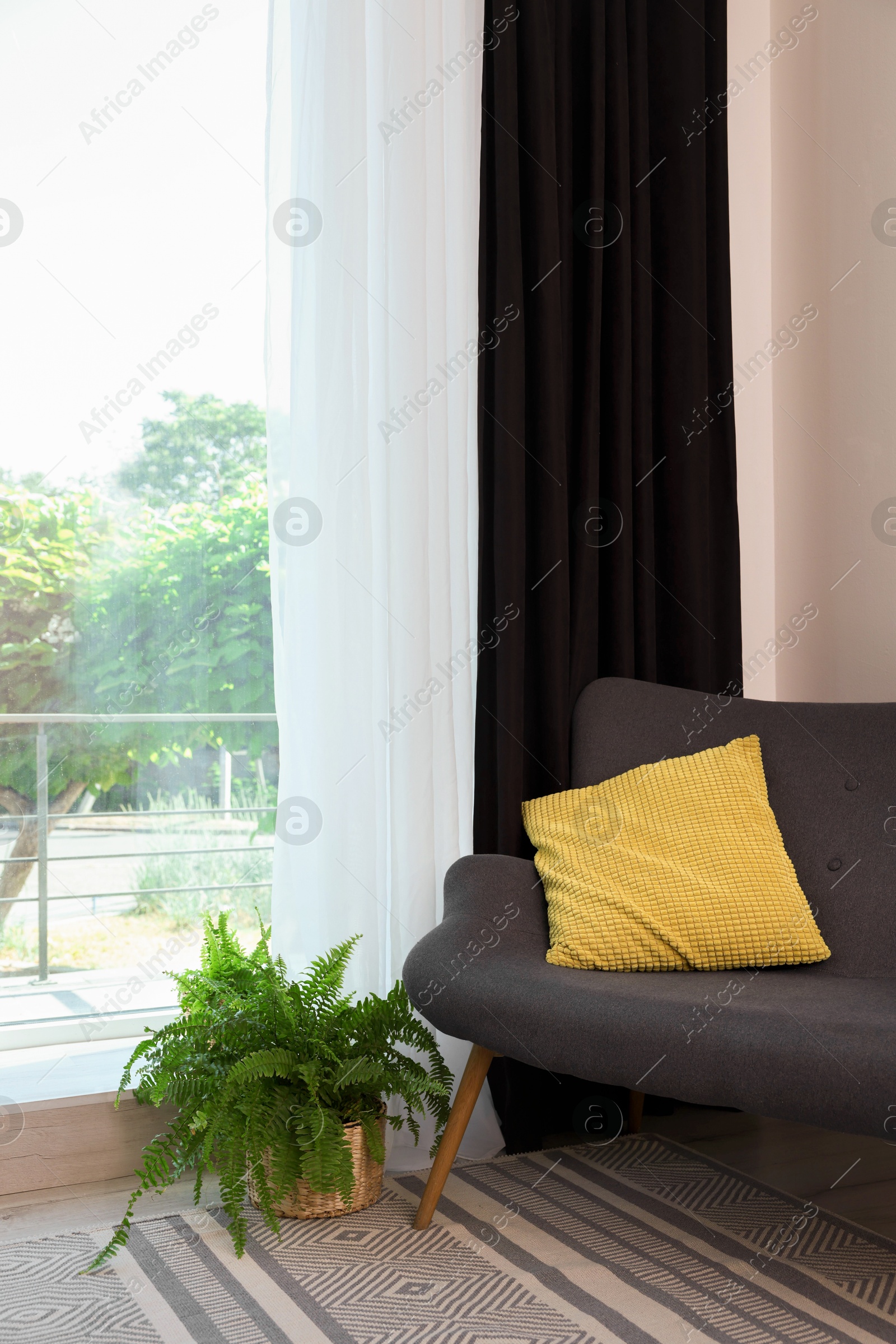 Photo of Sofa, pillow, green houseplant and elegant curtain in room. Interior design