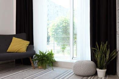 Sofa, green houseplants, pouffe and elegant curtains in room. Interior design