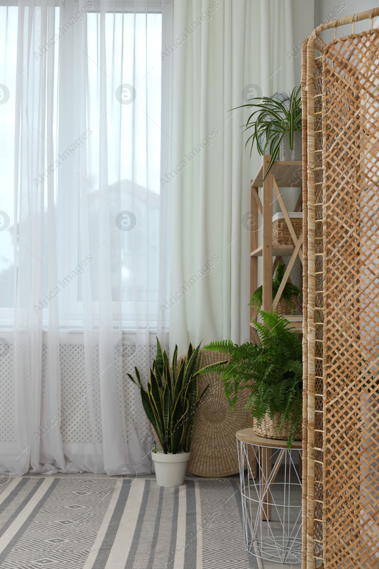 Photo of Window with beautiful curtains, shelving unit and houseplants in room. Interior design