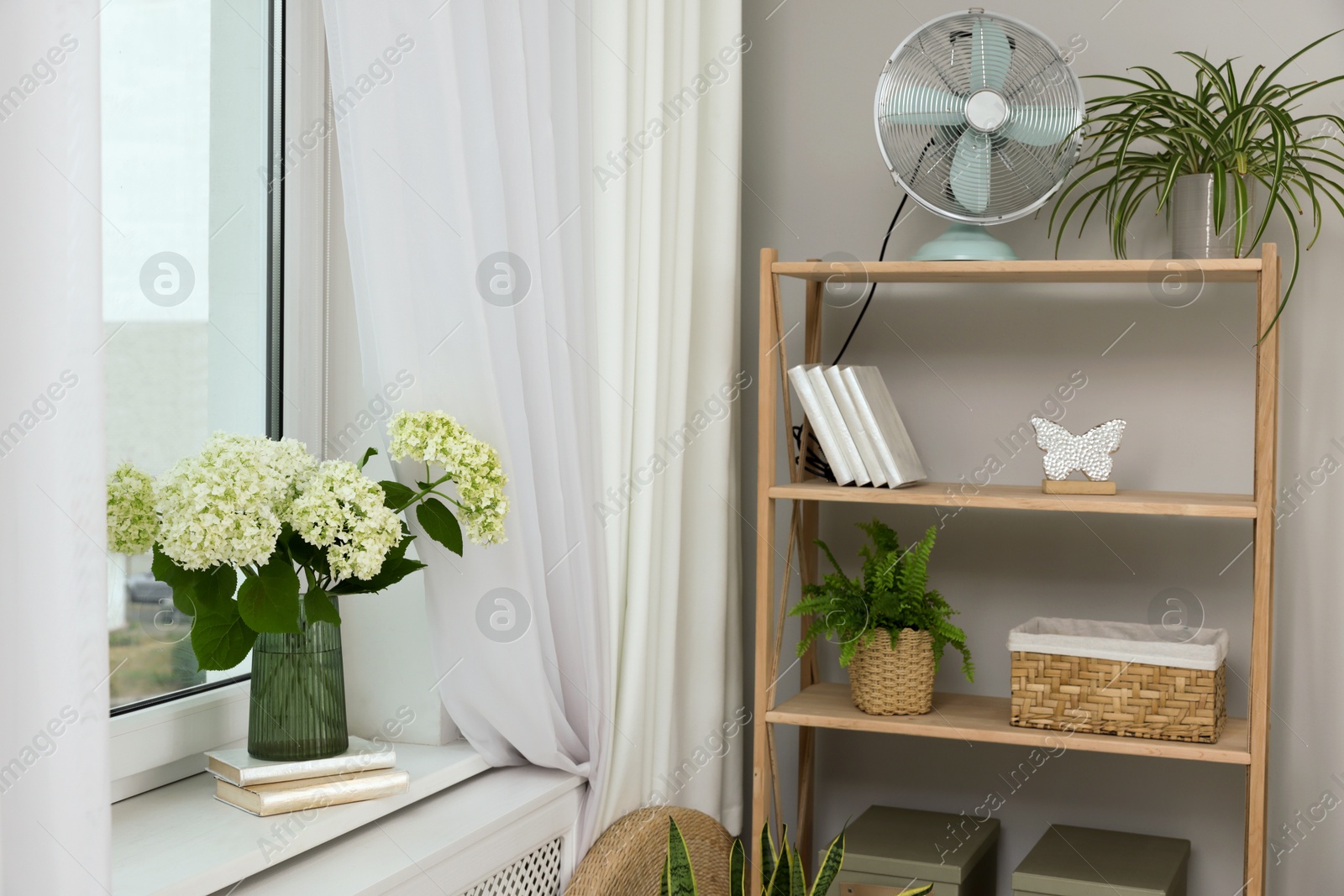 Photo of Window beautiful curtains, flowers and shelving unit indoors