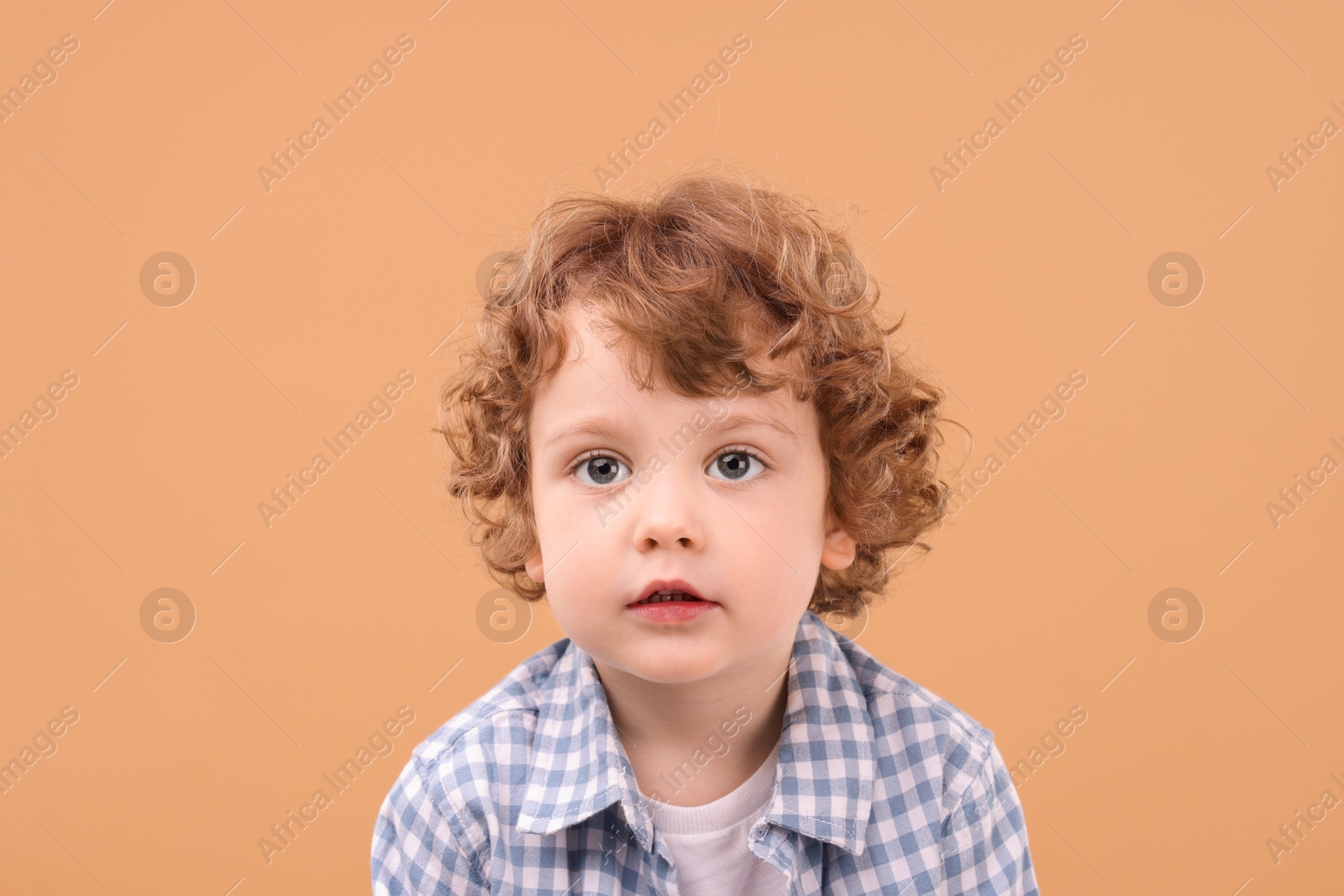 Photo of Portrait of cute little boy on beige background