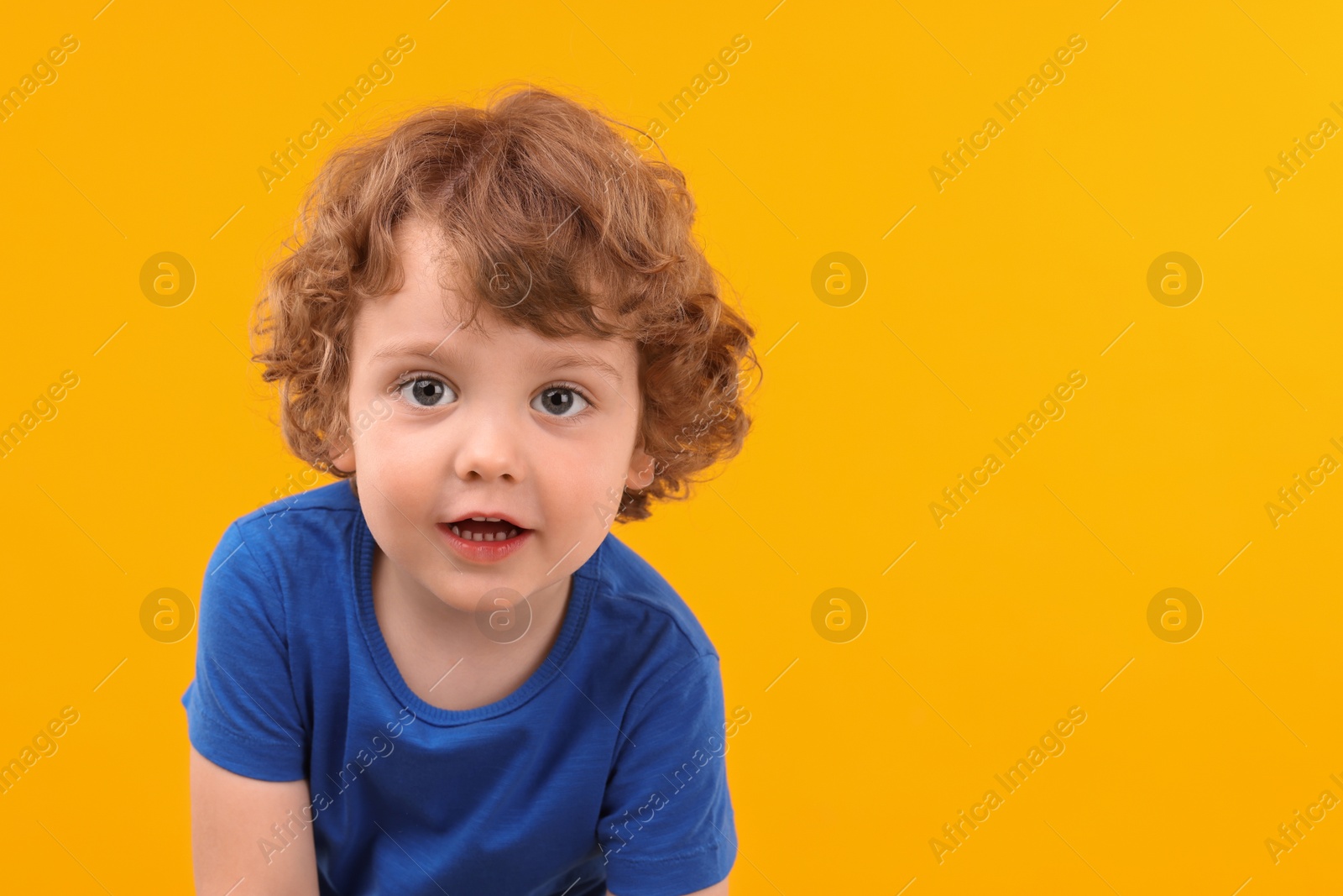 Photo of Portrait of cute little boy on yellow background, space for text