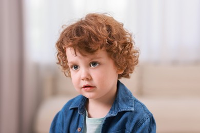 Portrait of little boy indoors. Cute child