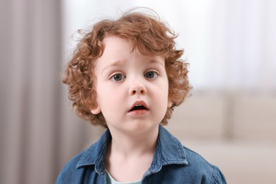 Portrait of little boy indoors. Cute child