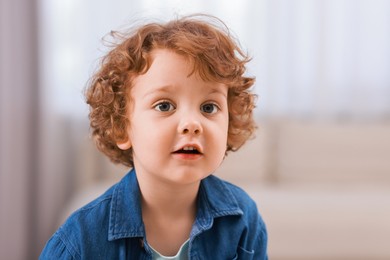 Portrait of little boy indoors, space for text. Cute child