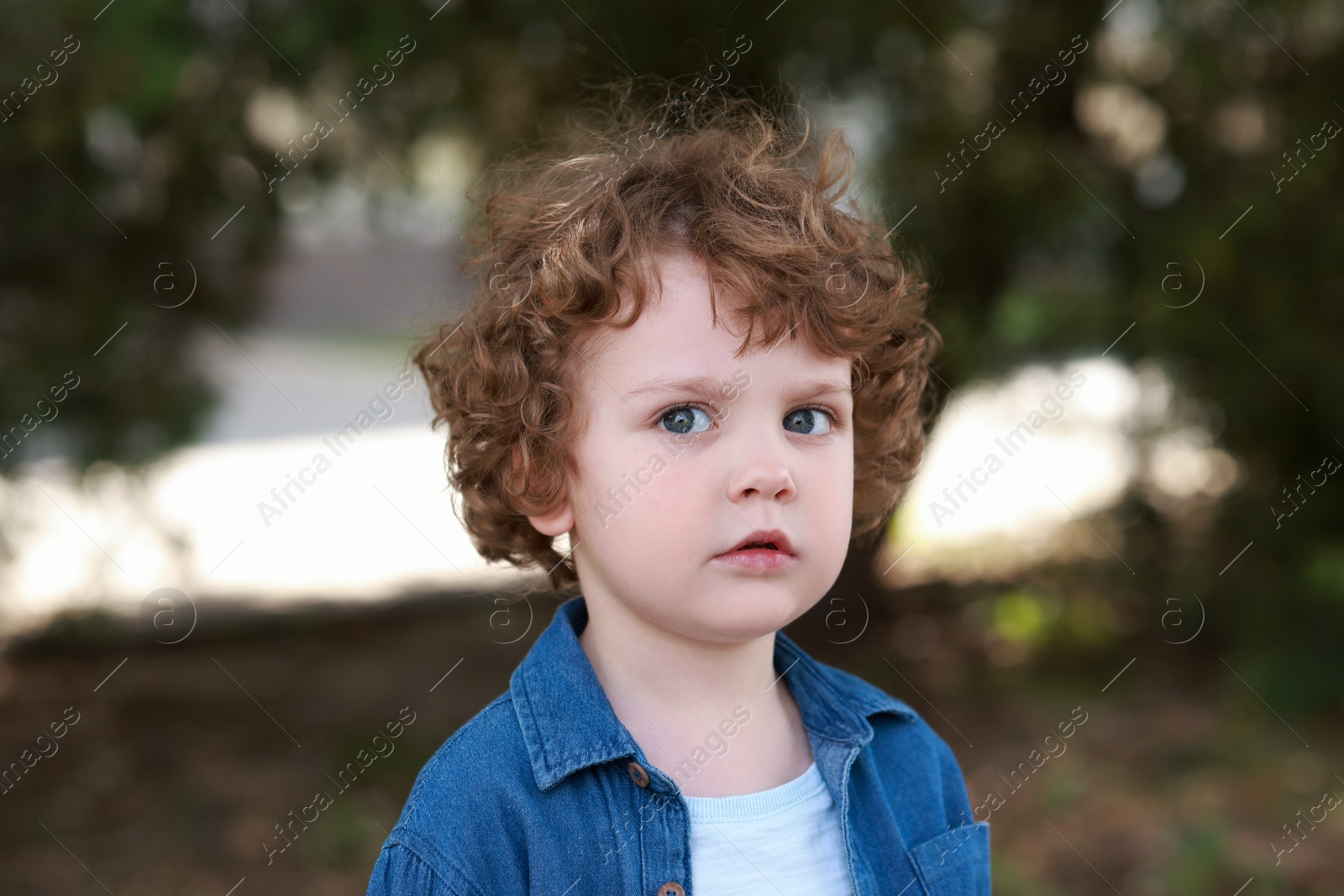 Photo of Portrait of little boy outdoors. Cute child