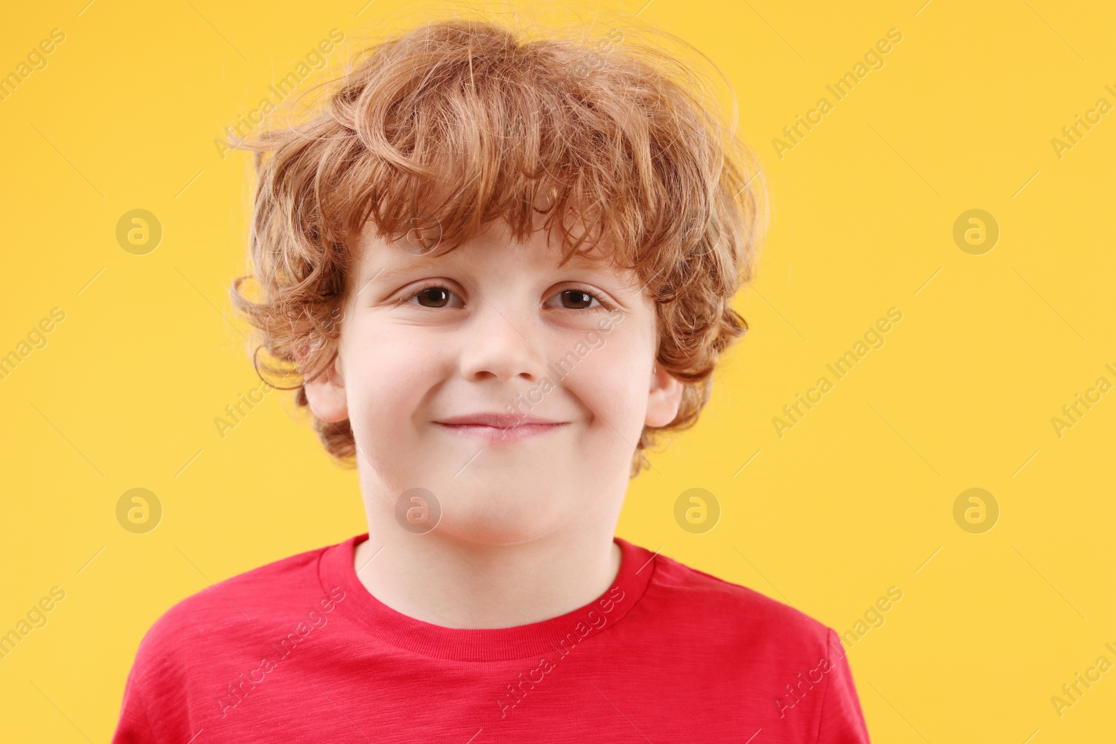 Photo of Portrait of cute little boy on orange background