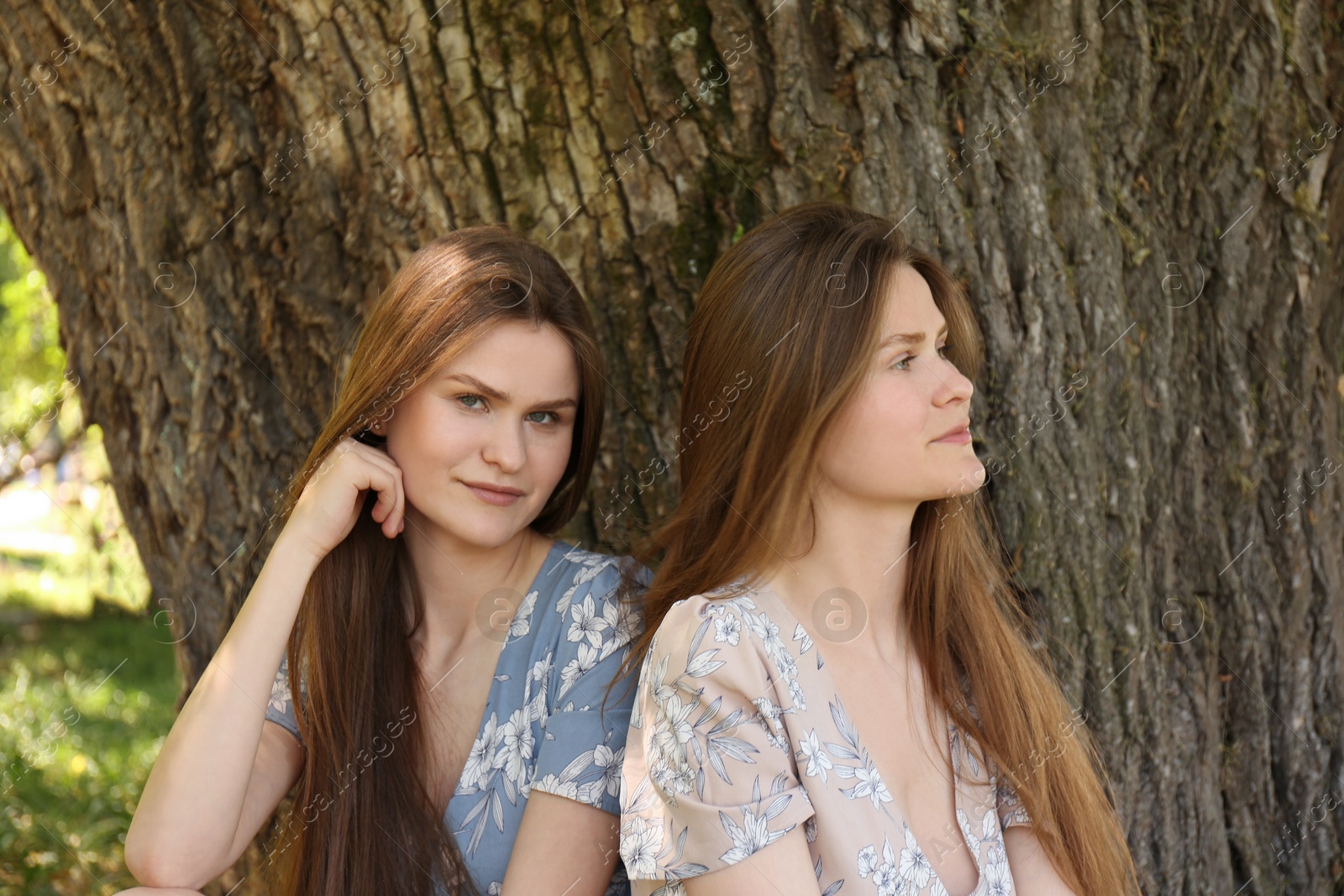 Photo of Two beautiful twin sisters near tree outdoors