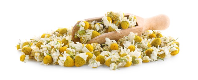 Pile of chamomile flowers and wooden scoop isolated on white