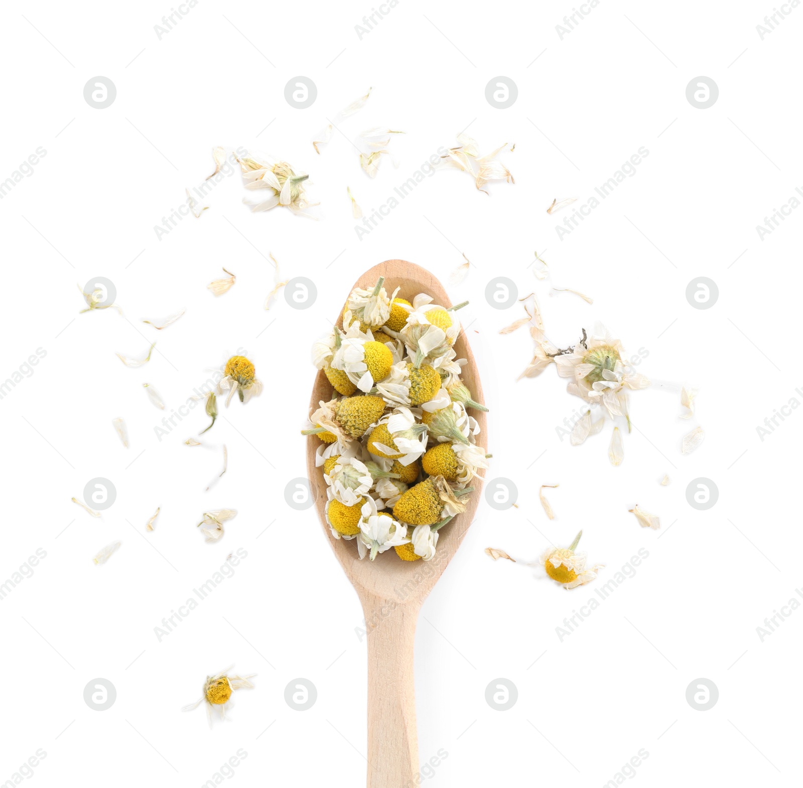 Photo of Chamomile flowers in wooden spoon isolated on white, top view