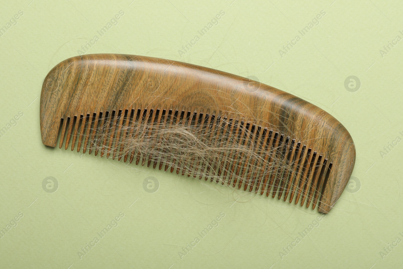 Photo of One comb with lost hair on light olive background, top view