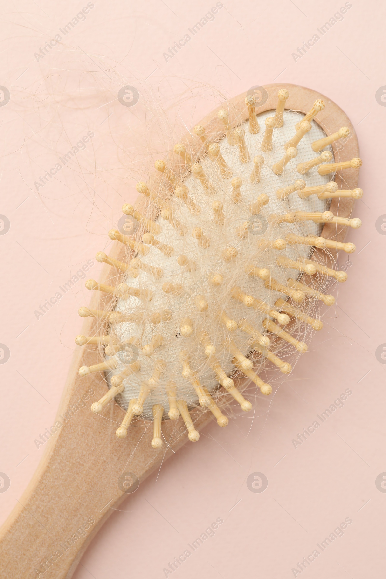 Photo of One brush with lost hair on light pink background, top view