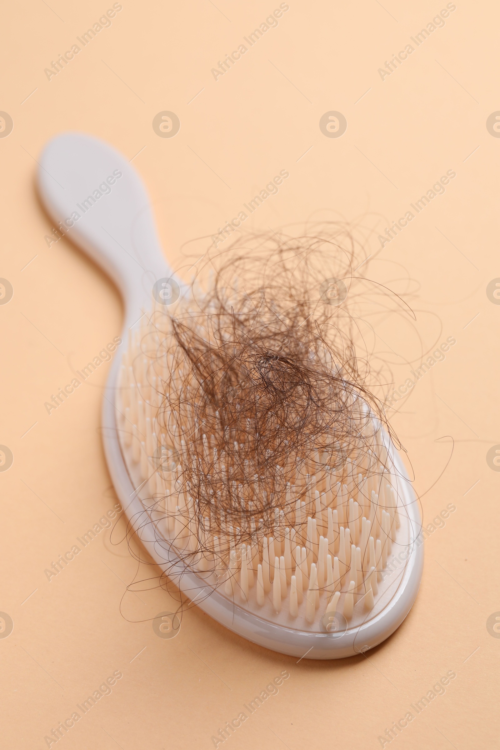 Photo of One brush with lost hair on beige background, closeup. Alopecia problem