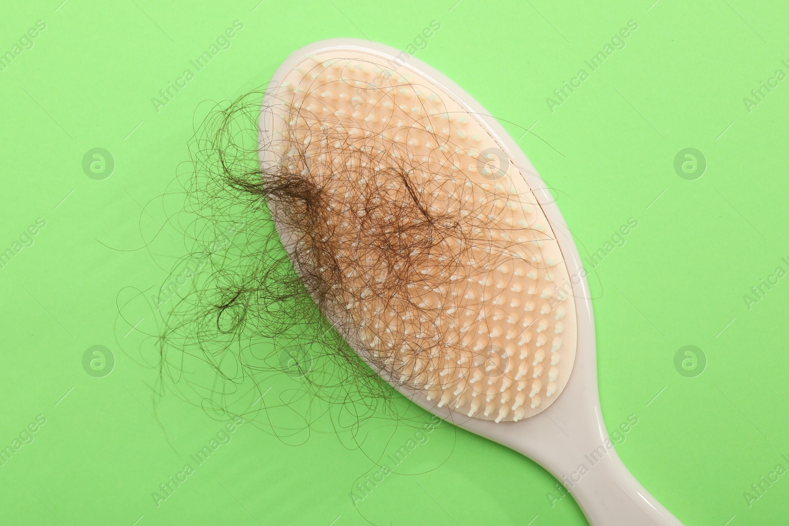 Photo of One brush with lost hair on light green background, top view