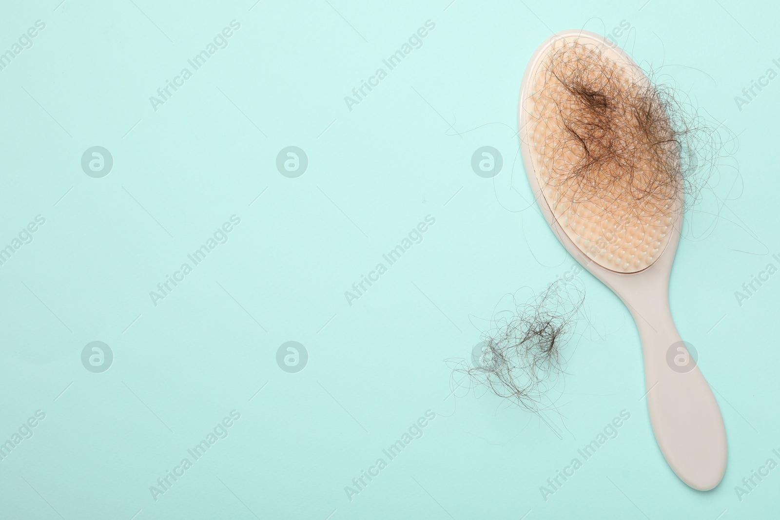 Photo of One brush with lost hair on light blue background, top view. Space for text