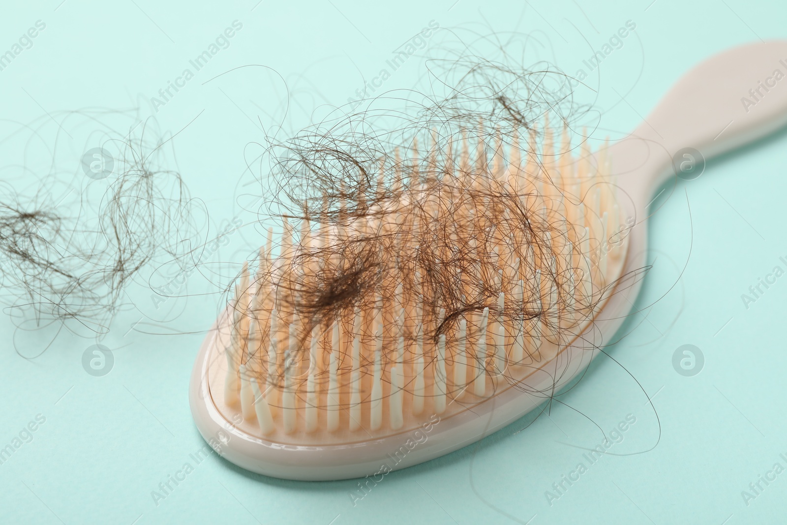 Photo of One brush with lost hair on light blue background, closeup. Alopecia problem