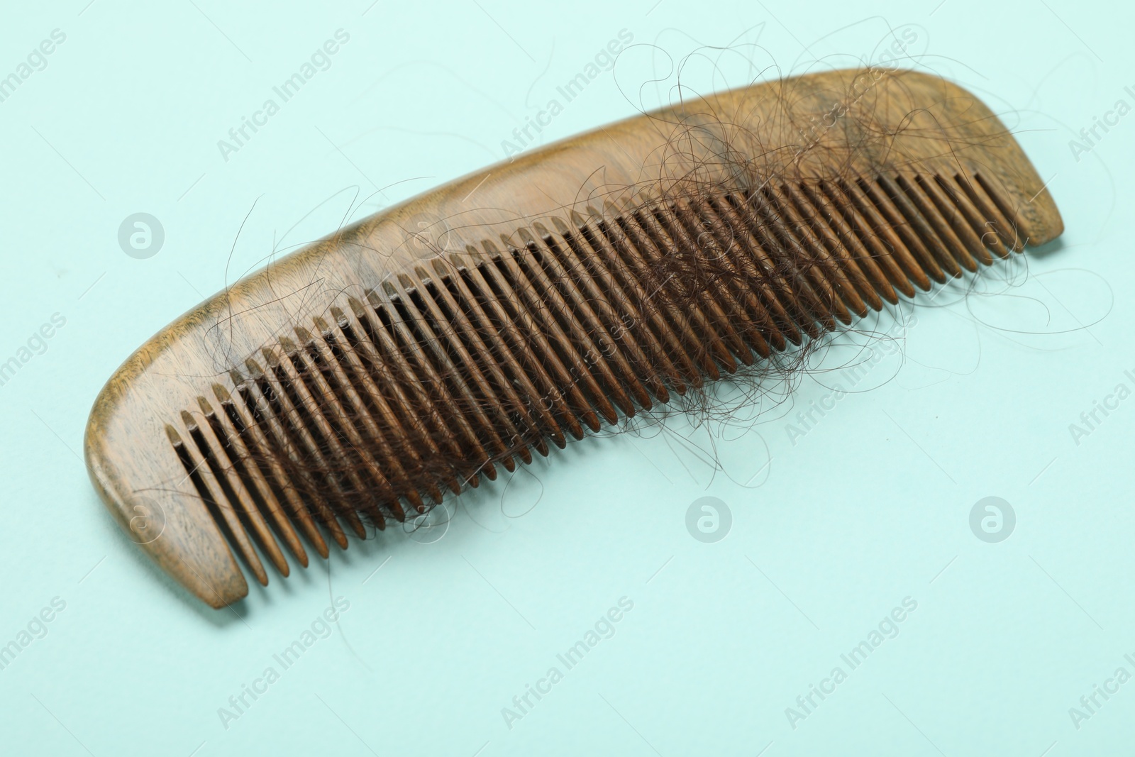 Photo of One comb with lost hair on light blue background. Alopecia problem