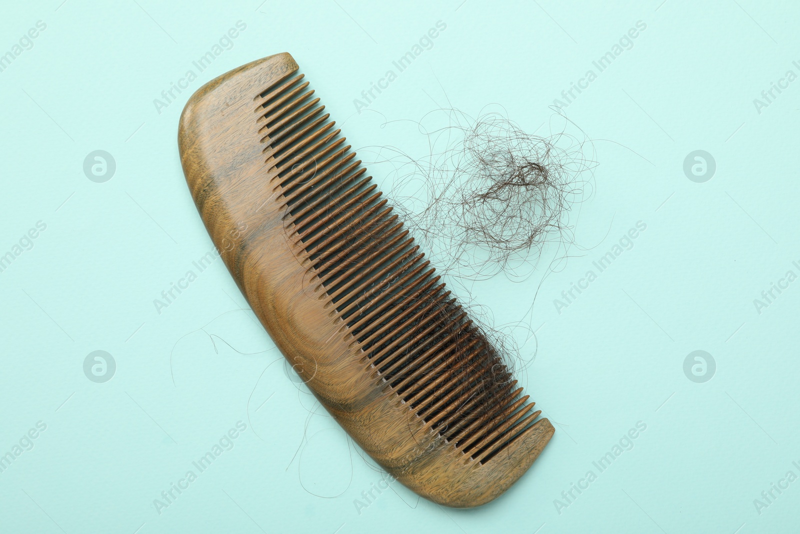 Photo of One comb with lost hair on light blue background, top view. Alopecia problem