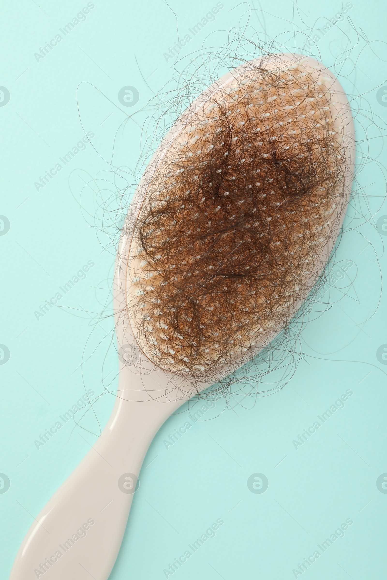 Photo of One brush with lost hair on light blue background, top view. Alopecia problem