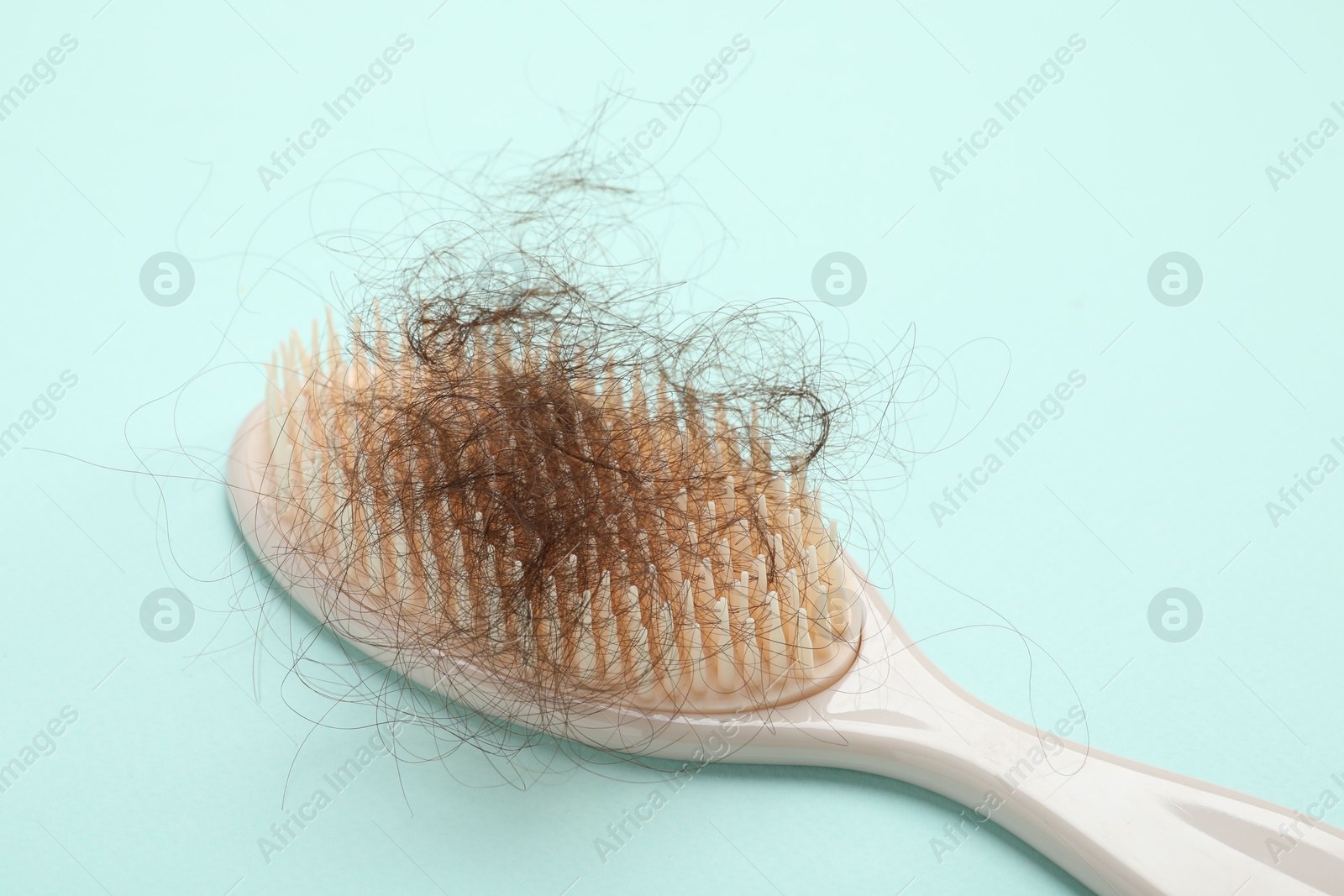 Photo of One brush with lost hair on light blue background. Alopecia problem