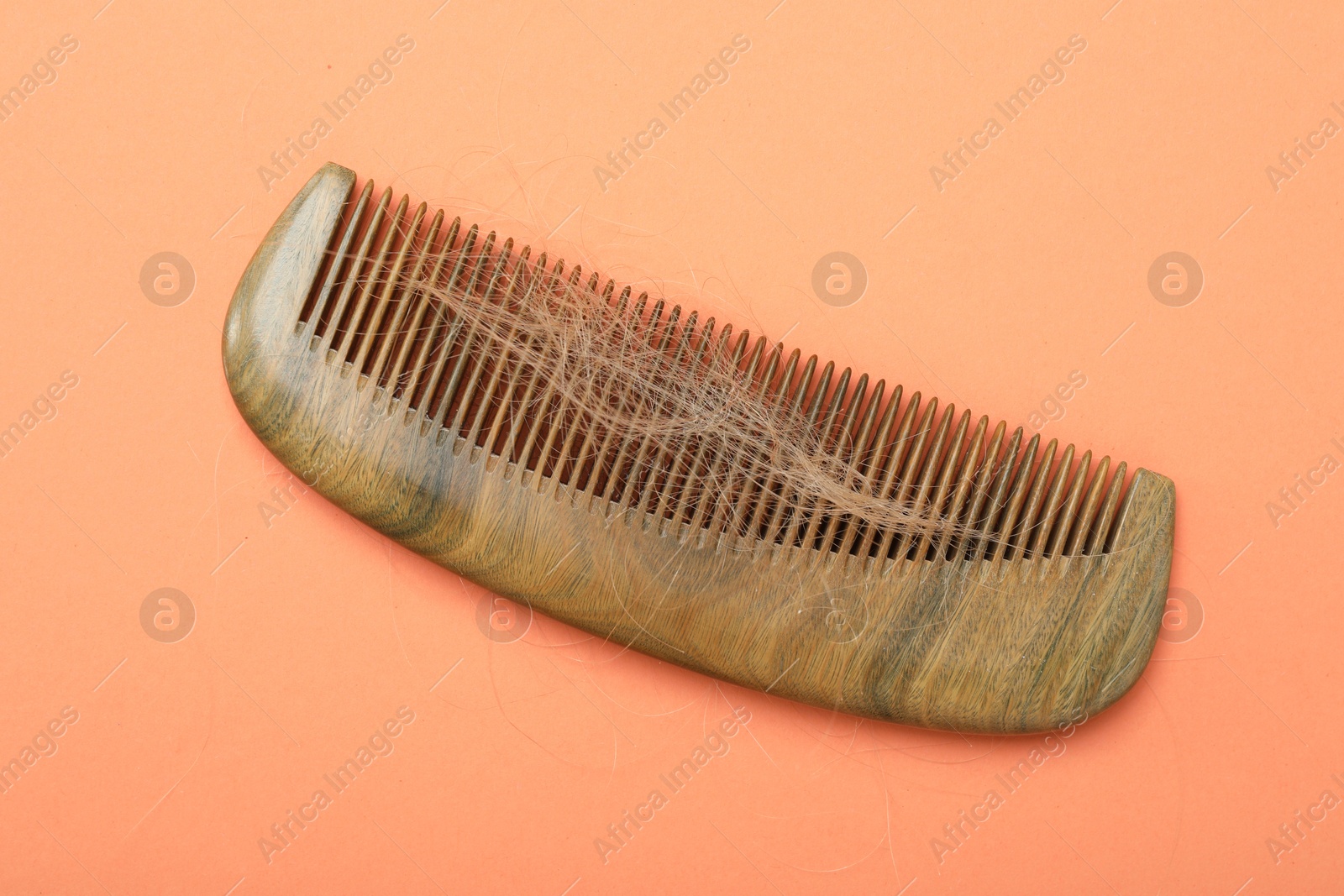 Photo of Comb with lost hair on coral background, top view. Alopecia problem