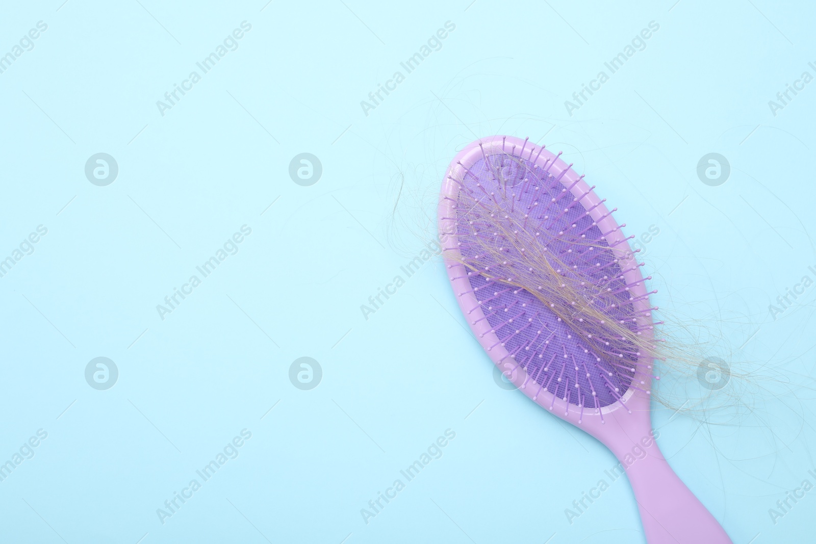 Photo of One brush with lost hair on light blue background, top view. Space for text