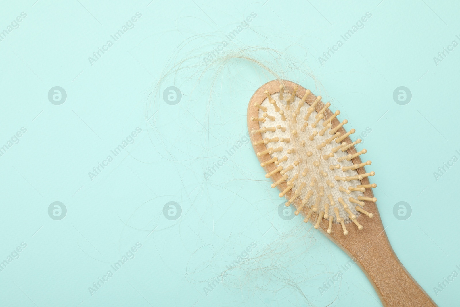 Photo of One brush with lost hair on light blue background, top view. Space for text