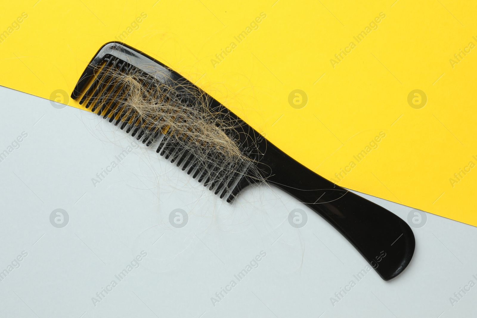 Photo of One comb with lost hair on color background, top view. Alopecia problem