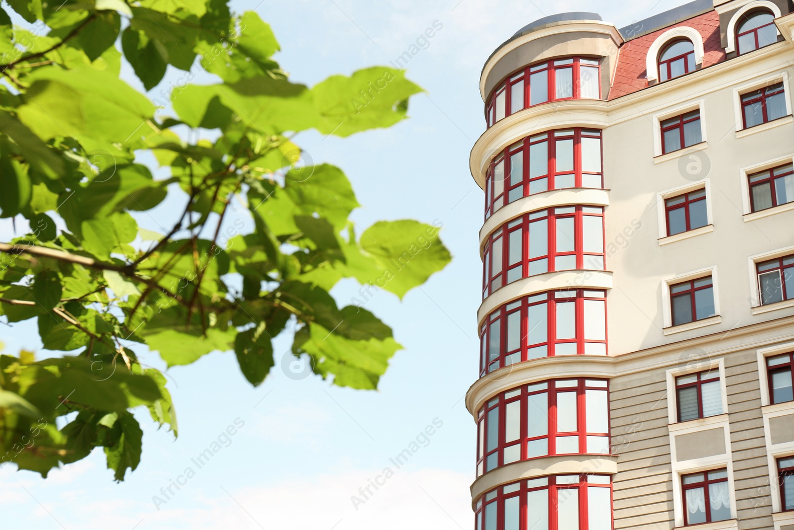 Photo of Modern building with glass windows and green tree outdoors, selective focus