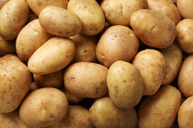 Photo of Many fresh potatoes as background, top view