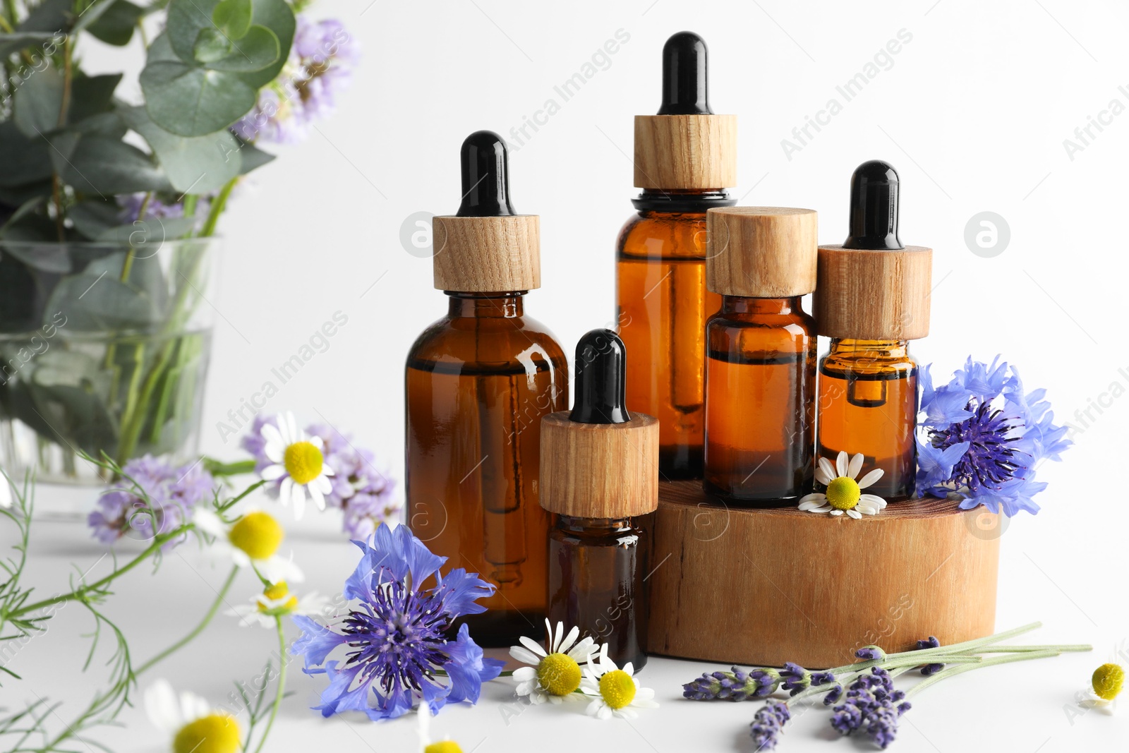 Photo of Aromatherapy. Different essential oils, eucalyptus leaves and flowers on white background